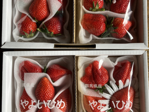 ⭐️奇跡のやよいひめ⭐️大玉『群馬いちご』320g×4トレー（2箱）