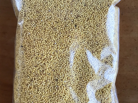 自然農で作りました！令和7年北杜市産もちあわ200g