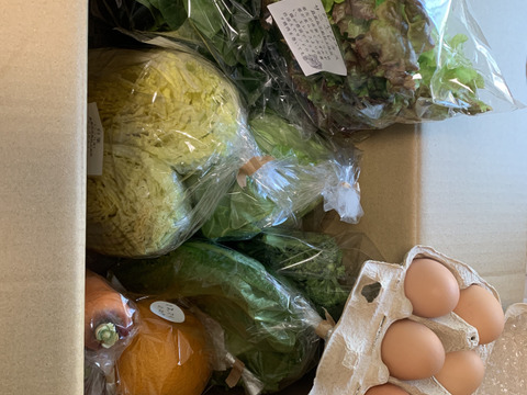 【平飼い卵野菜セット】農薬不使用キラピカ旬野菜BOX７〜8品、平飼い卵セット・朝穫れ農の島＊大三島＊よりお届け！