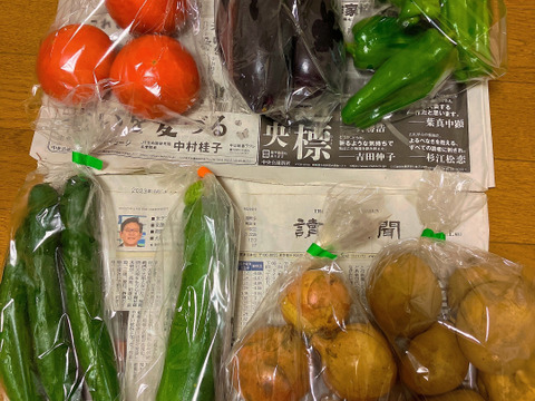 旬の野菜セット