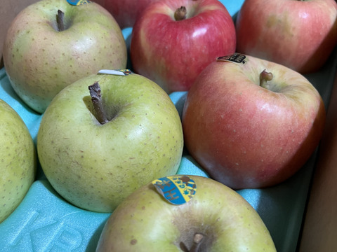 ミックス　🏆2025年りんごGP金賞受賞🎊葉取らず高徳&王林　家庭用2kg【5〜10個入り】