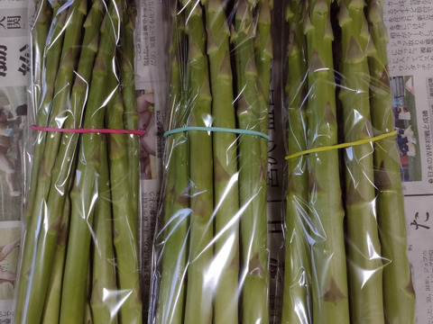 【母の日ギフト】春アスパラ太中細セット1kg（サイズ毎に食べ比べも）