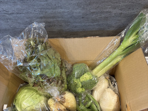 Sサイズ ＊旬野菜セット(約6~7品)【農薬：栽培期間中不使用】