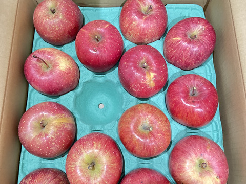 【販売開始！人気商品】青森県産りんご「サンふじ」家庭用 キズ有 約5kg【美味・光センサー選果済】