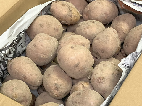 2024年【さやあかね】北海道産じゃがいも4.5kg（サイズMix）
