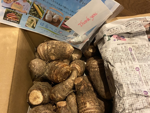 【野菜ソムリエサミット銀賞受賞】絶品！とろける里芋【とろりん】1.8kg土付き