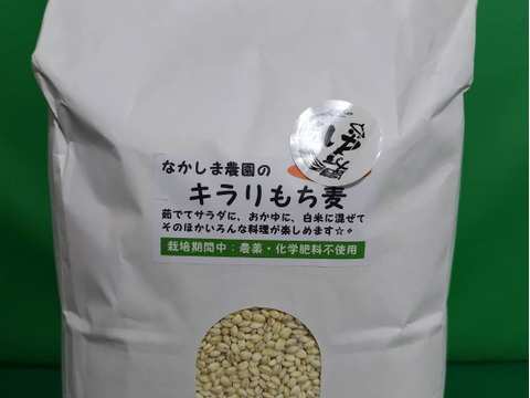 ダイエッターにオススメ。食べ応えのあるもち麦。（２kg）