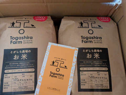 令和7年産 こがねもち白米10kg 【新潟の最高級もち米】