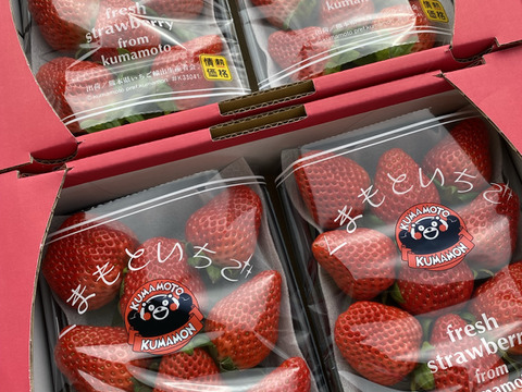 【赤のキセキ】〜苺から小玉すいかへ。季節が交差する、7日間だけの限定セット〜