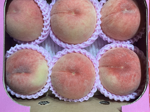 Nohea様　　特大川中島白桃　5玉　紫玉の太陽2kg　ドリップ農法　EM栽培 桃の王様 特大川中島白桃 5玉 ドリップ農法 EM栽培 最後の一箱