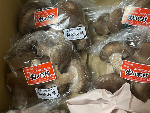 菌床生しいたけ！小さくても美味しい１㎏