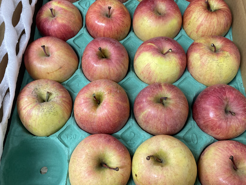 残りわずか！味濃い甘い！サンふじ★無肥料.農薬節約30%〜.除草剤.摘果剤.摘葉剤不使用★【5kg箱】
玉数指定不可/予約販売開始！/家庭用/りんご