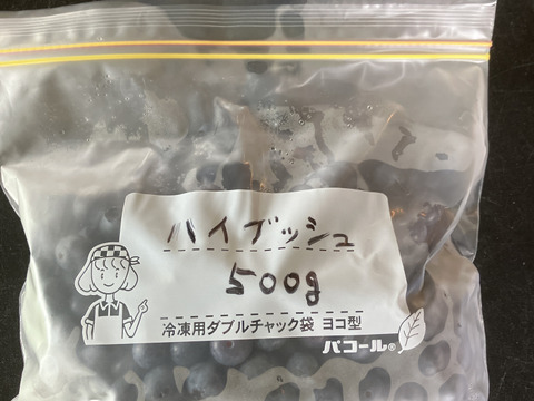 ジャムやお菓子の材料に‼️冷凍ブルーベリー（小粒ハイブッシュ系）500g単位.8袋まで同送料