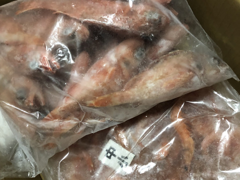 【母の日】ありがとうを贈る トロえび（中小サイズ）丸ごと楽しむ1kg