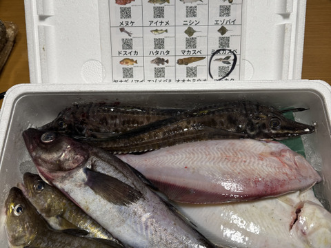 【知床らうす直送】梅コース3kg詰 (未利用魚ボックス 低利用魚も入ります) 海鮮セット 鮮魚ボックス 海鮮ボックス