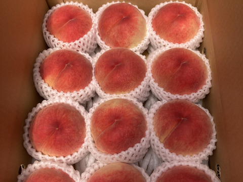 感動の甘さ！桃源郷福島の『大きめあかつき』（３kg箱9〜12個）【本州の方限定】