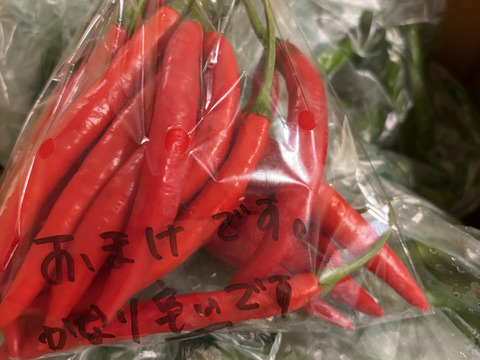 南房総市産!!フレッシュな青唐辛子（ホットパラソルＥＸ）2kg