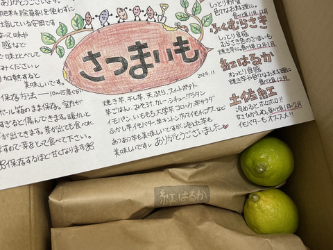 【3種食べ比べ・5kg】南国高知のサツマイモ