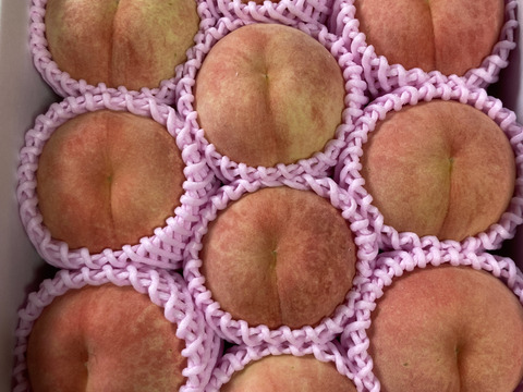 🍑桃水🍑3キロ箱(8玉〜12玉)化粧箱