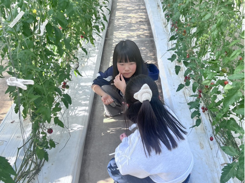 【期間＆個数限定】フラガール　1.0KG【高糖度13-14度】