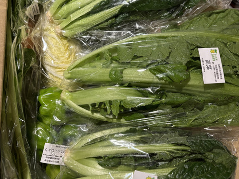 【少量サイズ♪】信州冬野菜セット10品目 お試しにも！