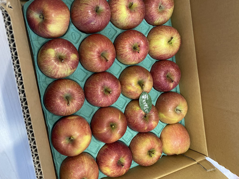 🍎【予約開始】5キロ🍎幸せの完熟葉とらずふじ16玉～24玉 青森りんご リンゴ 商品ID165766
