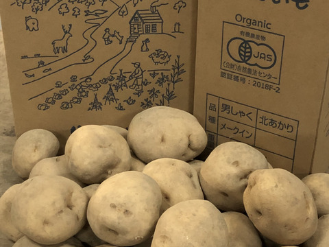 有機栽培ジャガイモ4.8㎏+十割そば2袋