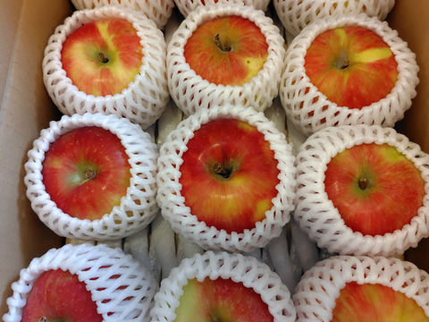 【最終】【吉池果樹園の１品種目】希少な夏りんご『夏あかり』３㎏
N-k3