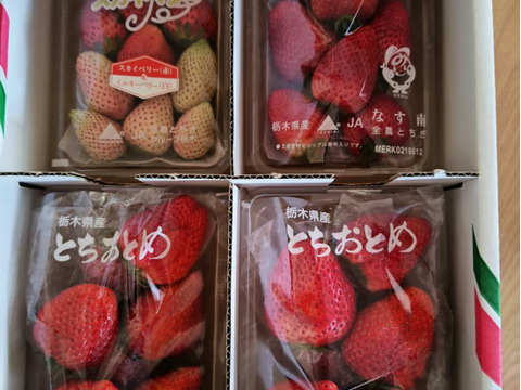 とちぎの完熟いちご３種の食べ比べセット
(とちあいか・スカイベリー・とちおとめ)
【いちご食べ比べ】