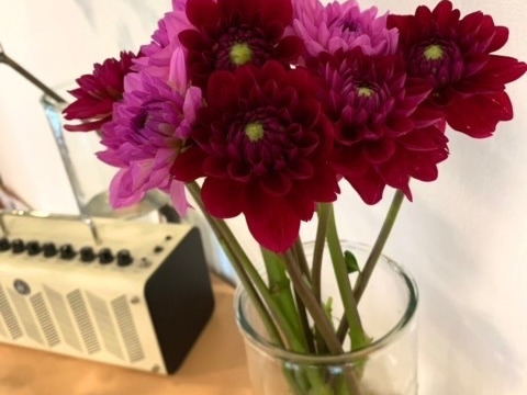 ダリア　【エタニティロマンス&ルージュ】（各5本）計10本束　30〜50㎝