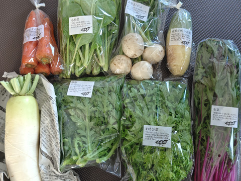【農薬・化学肥料・動物性堆肥 不使用】旬のお野菜８種類セット｜ふつうサイズ