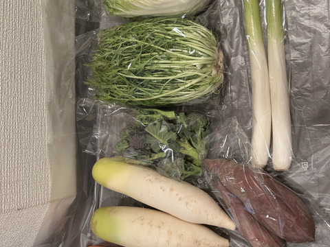 [なゆた農場]四季菜セットMサイズ（8袋分）