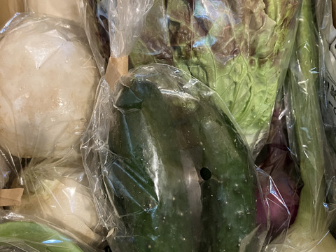 Sサイズ ＊旬野菜セット(約6~7品)【農薬：栽培期間中不使用】