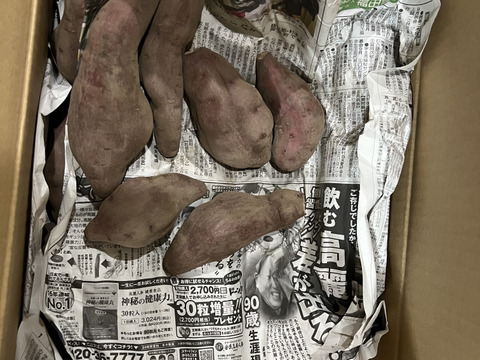 熊本県産オーガニックさつまいも！ハロウィンスイート🎃【オレンジ色の果実に上品な甘さ】（3kg）抗酸化作用のβカロテンが豊富！