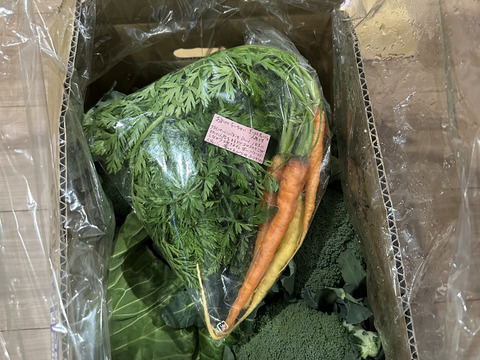 【食べチョクアワード2025入賞】
（ともちゃんセット）
ブロッコリー３つ　春キャベツ２つ