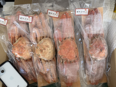 【福袋】本ズワイガニと紅ズワイガニの食べ比べセット♪