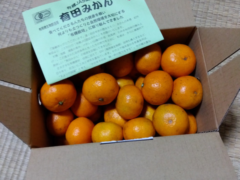 人気激安 数量限定・通常品の3割引き！】昔懐かしい味！希少な有機栽培 果物