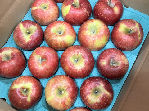 美味しい完熟りんご『シナノスイート』10kg