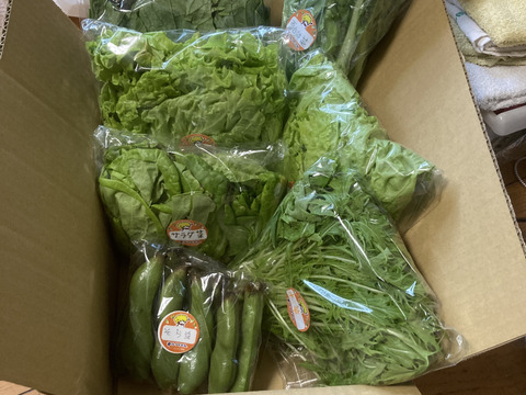 ★５月販売分　野菜セット【コラボステッカーつき！】