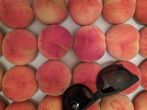 早生桃　暁星15個