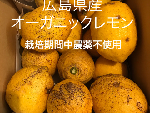 【訳あり】皮ごと安心！エビス農園の無人島育ちオーガニックレモン（2㎏）