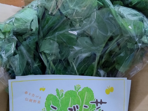 【今が旬！　春を告げる野菜】ええ？大飢饉を救った？　のらぼう菜 800g from 名水の里　神奈川県秦野市