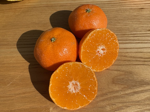 【柑橘食べ比べ】佐賀県太良町産3種セット♩盛田みかん＋はるか+4ｓクレメンティン複数（箱込3㎏）