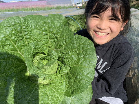 【アースデー企画】旬の訳あり野菜セット※おススメレシピ付き‼
