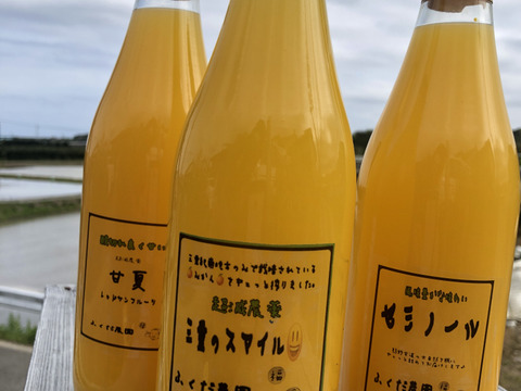 丸ごとギュっと💖柑橘🍊飲み比べセット🍊じゅーす720㎖×3本