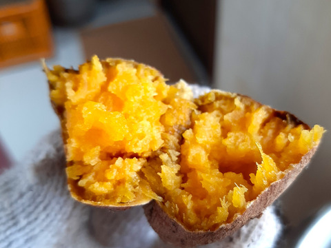 コロコロ熟成安納芋１０キロ　SSサイズ