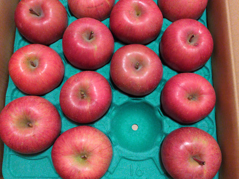 【販売開始！人気商品】青森県産りんご「サンふじ」家庭用 キズ有 約5kg【美味・光センサー選果済】