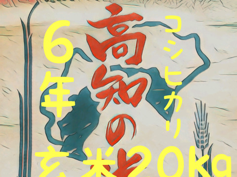 送料込み 令和6年産 高知県産 コシヒカリ 玄米25㎏(袋込み)