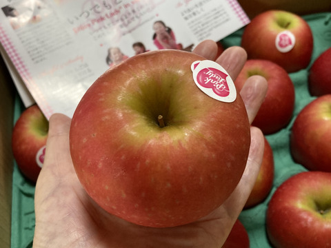 発送中🍎 ピンクレディー®︎3キロ箱 長野県 信州 安曇野 リンゴ 幻 幻