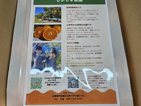 【ご家庭用】平均糖度13度以上の濃縮された早生みかん🍊甘さと酸味が最高のバランス 太幸早生 約5キロ【根域みかん】